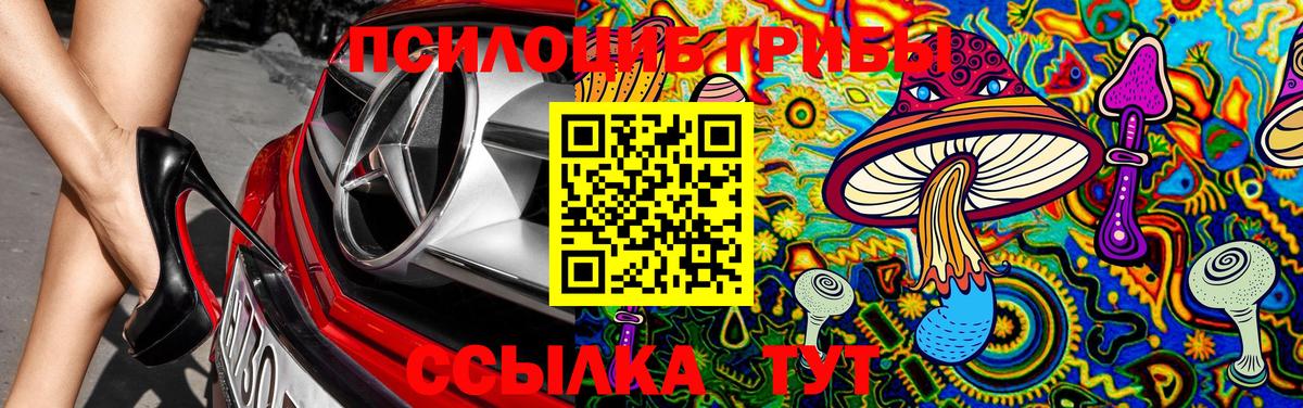 Каменск-Уральский  Псилоцибиновые грибы Cubensis  Вход с VPN 