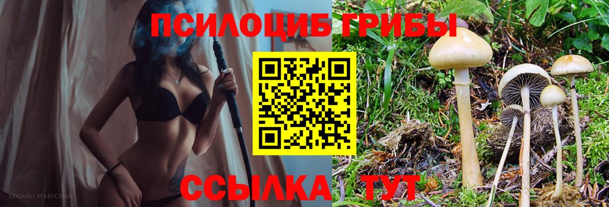 Псилоцибиновые грибы GOLDEN TEACHER Каменск-Уральский
